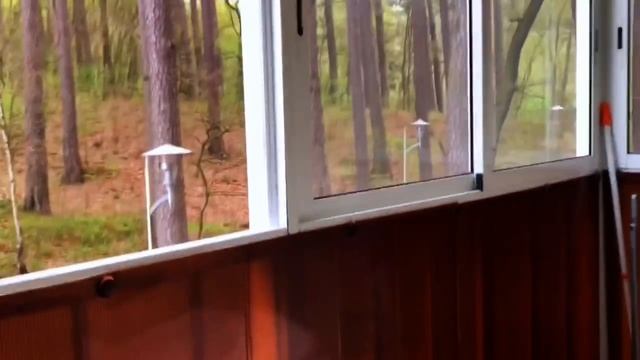 Светлогорск 1кк