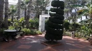 Club Mermaid  Village 4 * Турция