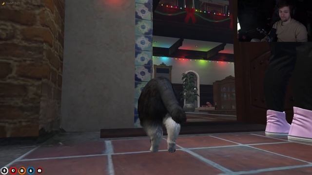 Buddha in Discord | Sodapoppin | GTA RP | NOPIXEL 3.1 смотреть онлайн