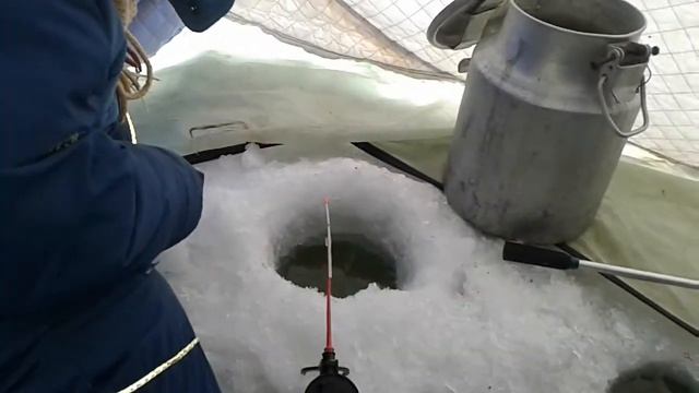 Как мы ловим рыбу