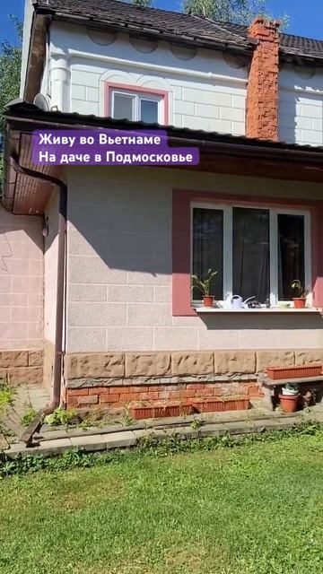 #travel #нячанг #путешествия #вьетнам #отдых смотреть онлайн