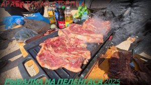 Рыбалка на пеленгаса 2025