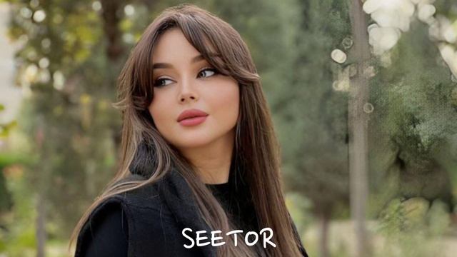 Majid Razavi - Mesle To (SEETOR MUSIC) 2025 смотреть онлайн