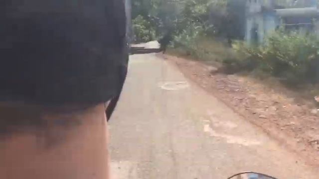 Индия! Светлая и свободная 💕 смотреть онлайн