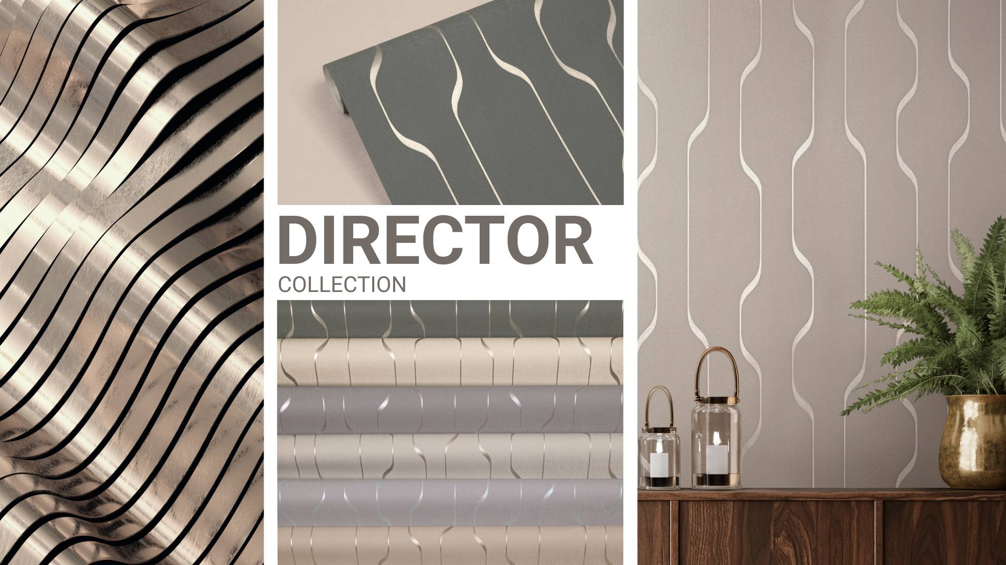 Коллекция Director/Директор