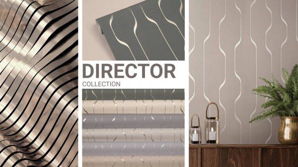 Коллекция Director