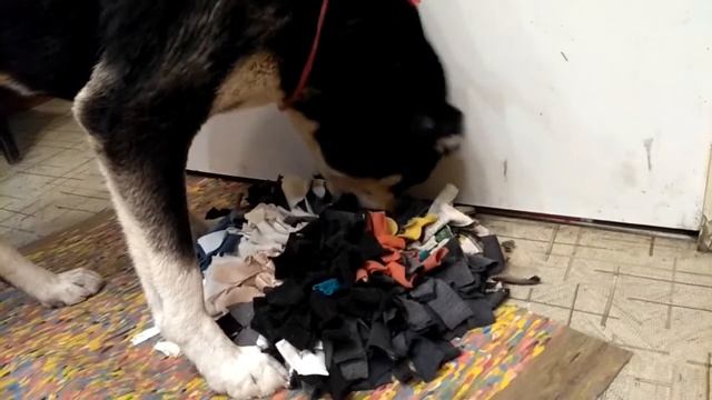 Найза и нюхательный коврик смотреть онлайн