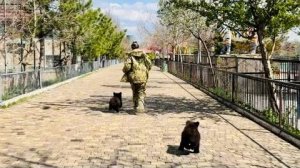 В Тайгане по улицам гуляют медведи Топа и Копа!