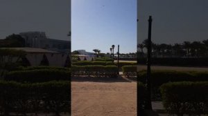 Обзор отеля Amwaj Oyoun & Resort