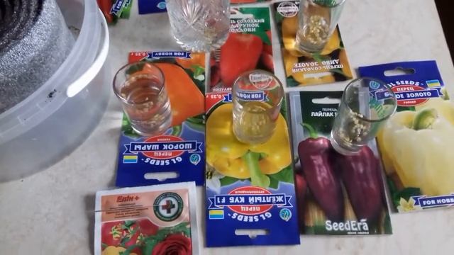 Сею перцы в улитки и не пикирую! смотреть онлайн