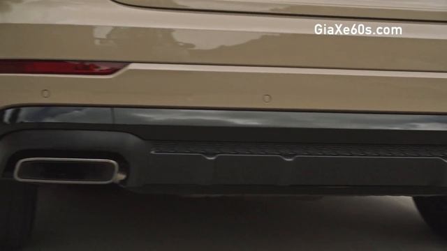 Xe 5 Chỗ Audi Q8 Đời 2024 Phiên Bản Nâng Cấp, Giá Bao Nhiêu Khi Về Việt Nam