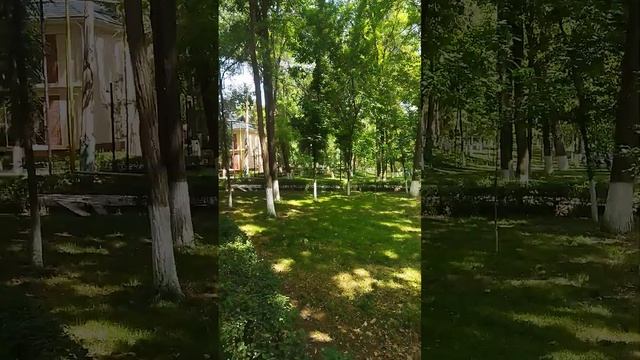 санатории Сарыагаш