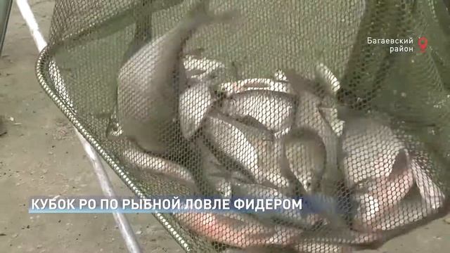 Новости-на-Дону 07.10.2020 смотреть онлайн
