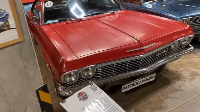 Быстрый медведь в Питере часть2. смотреть онлайн