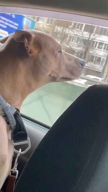 @а счастье, по-моему, просто бывает разного роста... смотреть онлайн