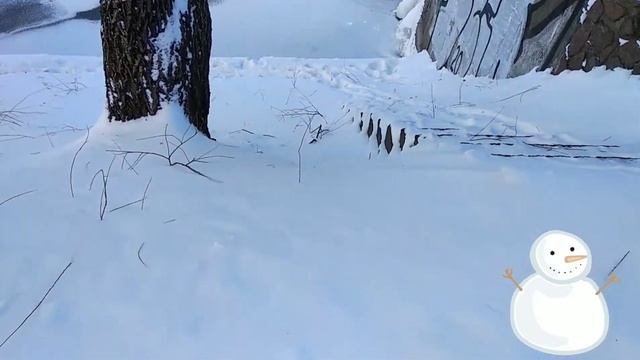 Minsk Belarus, холод -14°, Минск Беларусь, cold day, #Shorts смотреть онлайн
