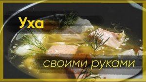 УХА Вкусная и Наваристая! Все СЕКРЕТЫ ВКУСНОЙ УХИ! Лучший Рецепт ухи! Справится даже ребенок!