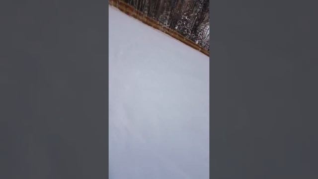 на лыжак сан.Россия ноябрь 2019г. смотреть онлайн