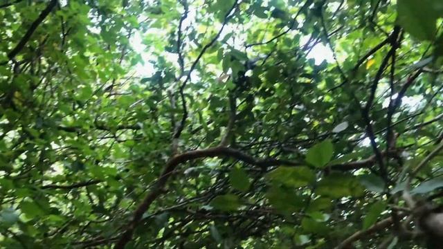 2021 Танзания Занзибар смотреть онлайн