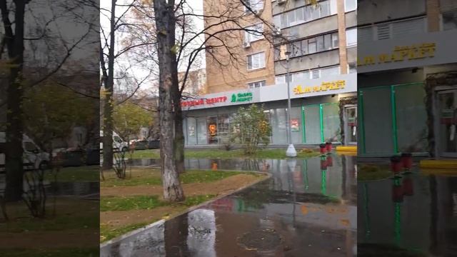 Пончиковая, кафе т.п. в аренду у метро 30,5 м2 смотреть онлайн