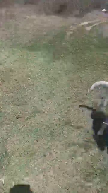 Кайра разгулялась.