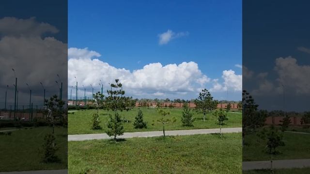 витязево смотреть онлайн