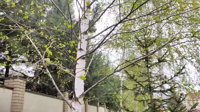21 апреля Харьков смотреть онлайн