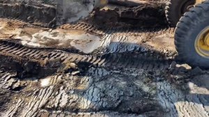 Раскопки древнего Мамонта в черте города Нюрба