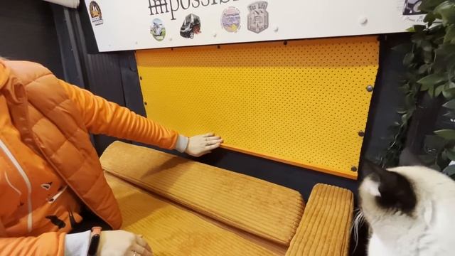 VANLIFE BELARUS. Обзор автодомов.Необычное предложение руки и сердца. смотреть онлайн