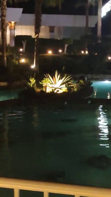 Водопад и ленивая река поздним вечером/ Отель Монте Карло/ Шарм-эль-Шейх #short смотреть онлайн