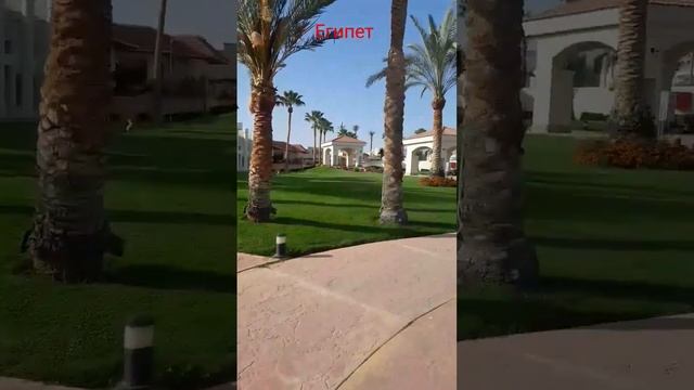 10 марта 2023 г. смотреть онлайн