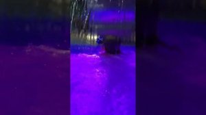 Я иду плавать в аквапарк Астрал в Тихвине, это очень весело!