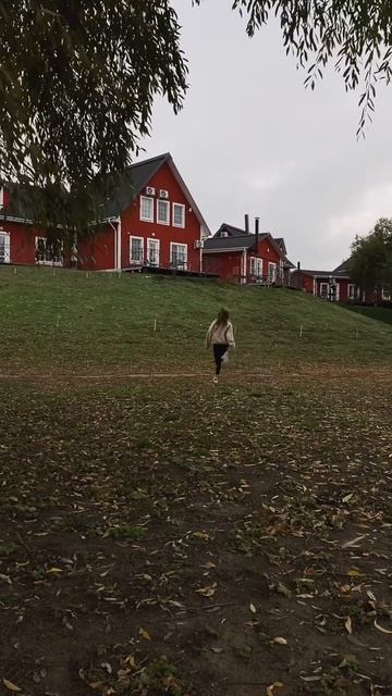 Подмосковная Норвегия 😲 координаты в описании⬇️ #travel #travelrussia #travellife #travel смотреть онлайн