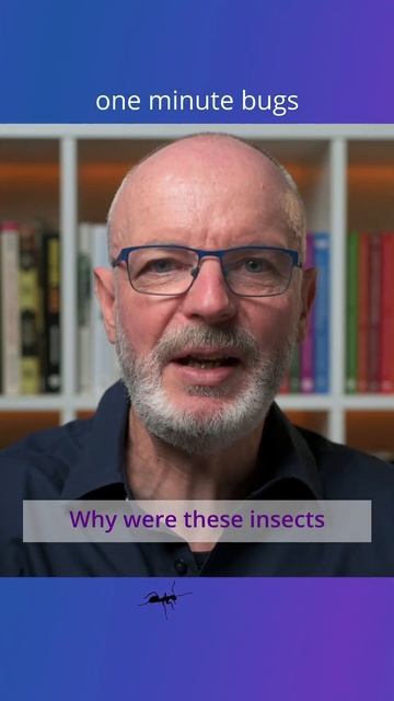 Giant insects dominated the skies смотреть онлайн