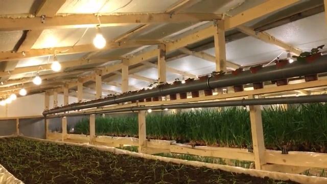 🍓 🍓🍓🍓 смотреть онлайн