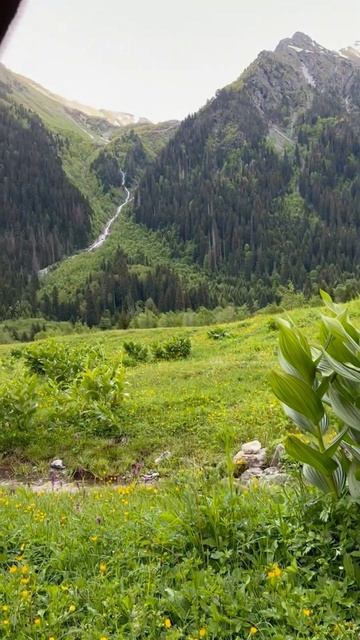 #1era_travel КЧР | Пхия. Кислые источники смотреть онлайн