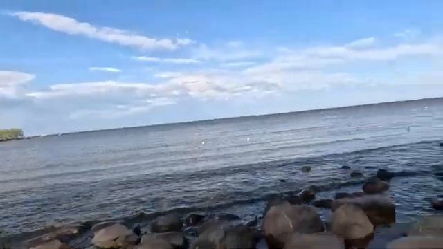 На берегу! #санктпетербург #петр1 #россия #петергоф #петербург смотреть онлайн