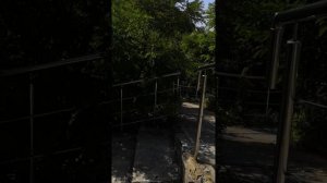 Зелёный Гай (спуск) 2023