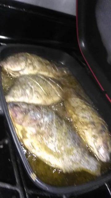 pescado al orégano en la cosina de Rocío