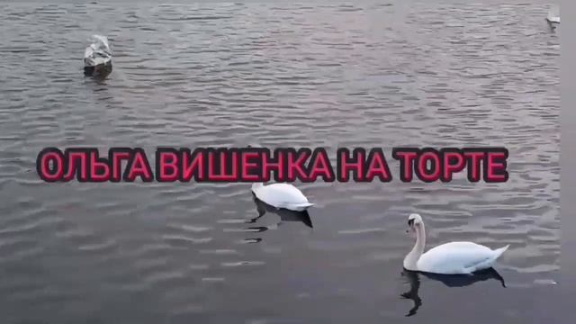 ВСЕ ПРОПИЛА И ПРОЖРАЛА. ЮЛЯ СТАР. ОБЗОР.