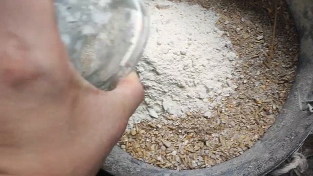 Как вырастить крупных кроликов?/Чем кормить кроликов смотреть онлайн