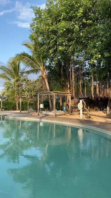 #luxgrandgaube LUX* Grand Gaube Маврикий 🇲🇺 смотреть онлайн