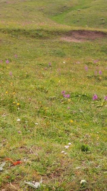 С самоваром ☕ #mountains #природа #дагестан смотреть онлайн