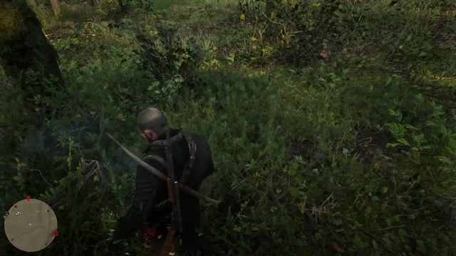 Тимьян ползучий (creeping Thyme) Red Dead Redemption 2