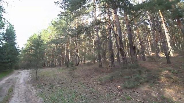 Поход 90км. 1 день смотреть онлайн