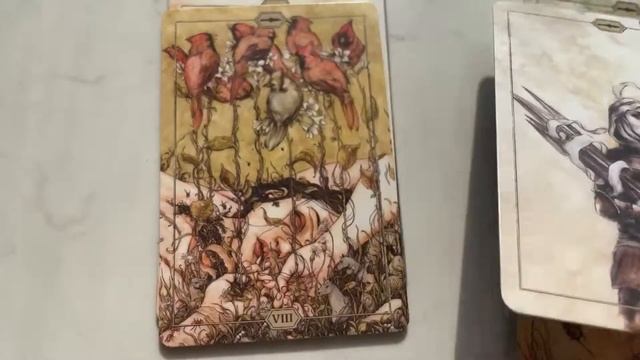 【nabileech】Hush Tarot*寂静塔罗牌面分享