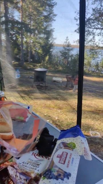 Кемпинг смотреть онлайн