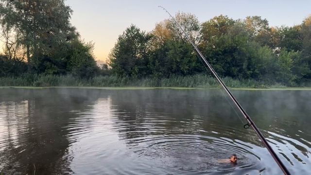 🐠🐟 2 СУТОК НА РЕКЕ / ФИДЕР / ДОНКИ / ЕДА НА КОСТРЕ / СЕВЕРСКИЙ ДОНЕЦ 🐠🐟 смотреть онлайн
