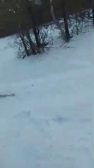 ЩУЧИНСК САНАТОРИЙ АЛМАЗ 23 декабря 2021 г. смотреть онлайн