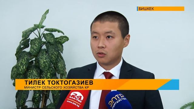 В Кыргызстане наблюдается резкий рост цен на мясо смотреть онлайн